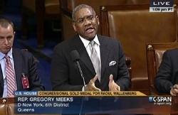 Congressman Gregory Meeks - (NY - D)